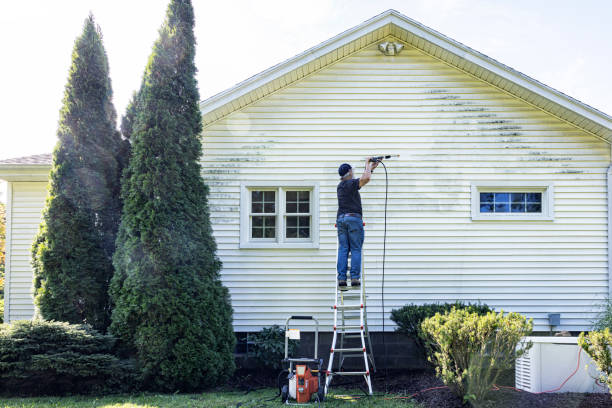 Best Roof Pressure Washing  in Mccla, AL